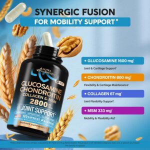 Glucosamine Chondroitin MSM Collagen