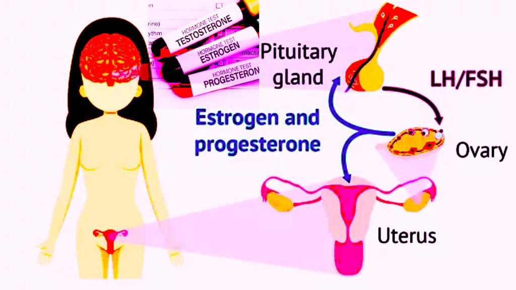 Estrogen Test, Total