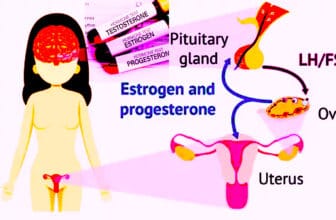 Estrogen Test, Total