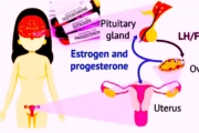 Fertility & Pregnancy Testing: Estrogen Test, Total